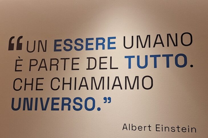 immagine_08